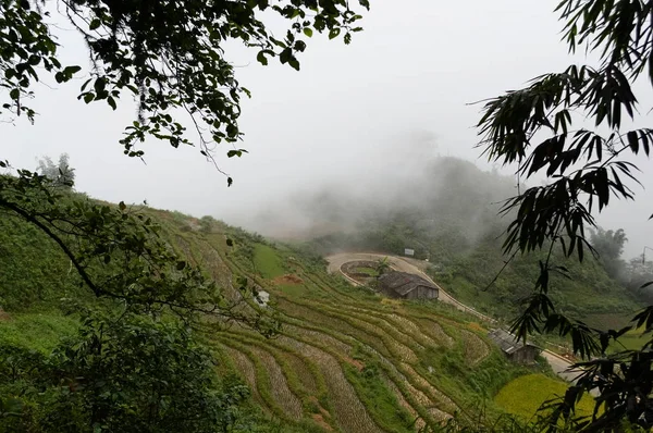 Geleneksel Vietnam Kırsal Peyzaj Vietnam Daki Pirinç Terasları Sisli Dağlar — Stok fotoğraf