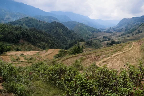 Vadi manzarasının arka planında pirinç teraslı alanlar. Dağlarda geleneksel kırsal Vietnam manzara. Sa Pa, Vietnam.