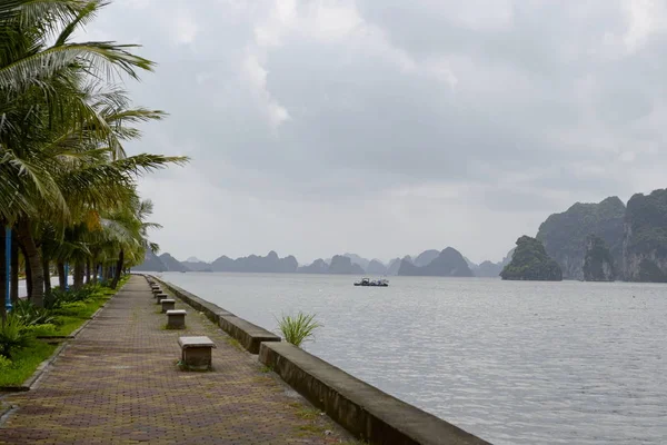 Pusty Nadmorski Palmami Ławkami Widokiem Halong Long Bay Wpisany Listę — Zdjęcie stockowe