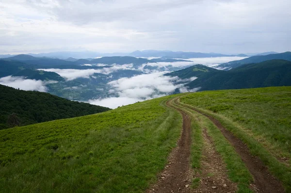 Caminos Tierra Prado Verde Las Montañas Cárpatas Nubes Sobre Valle —  Fotos de Stock