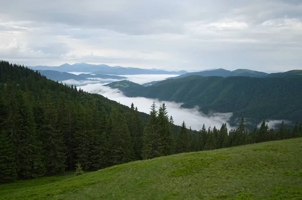 Clouds over the valley in mountains. Panoramic mountain view with horizon over land and green meadow on the foreground. Carpathian mountains, Ukraine.