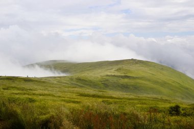 Borzhava sırtı. Karpat dağları, Ukrayna
