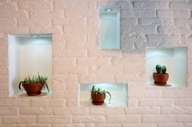 Kaktüs bitkileri ile dekore edilmiş beyaz tuğla duvarile iç tasarım