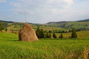 Dağlarda bir köyde yeşil bir alanda samanlıkta Saman, Karpatlar, Ukrayna