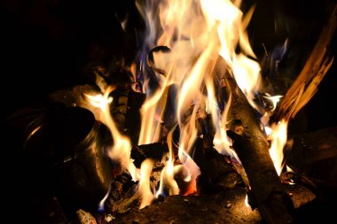 Ormanda şenlik ateşi. Karpat dağları. Ukrayna