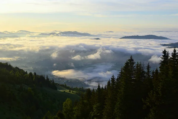 View above the clouds to a valley and village at sunrise time. Carpathian Mountains. Ukraine.