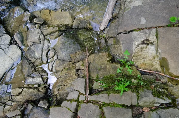 Hintergrund Textur Von Rissigen Felsen Der Nähe Des Gebirgsflusses Trockenstein — Stockfoto