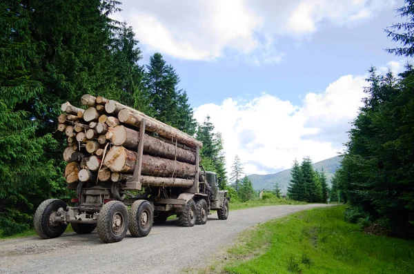 Навантажені Дерев Яні Вантажівки Транспортує Лісі Концепція Транспортування Деревини Навколишнє — стокове фото
