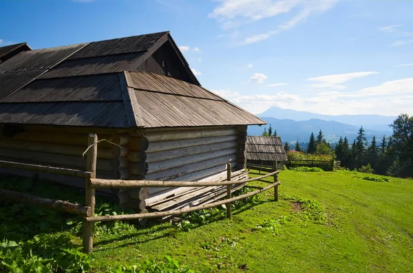 Dağlarda ahşap çoban evi. Polonyna veya montane çayır denilen yeşil çayır üzerinde Karpat dağlarında Geleneksel küçük kulübe. Dağlarda geleneksel kırsal manzara. Karpatlar, Ukrayna.