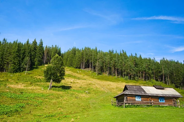 Dağlarda ahşap çoban evi. Polonyna veya montane çayır denilen yeşil çayır üzerinde Karpat dağlarında Geleneksel küçük kulübe. Dağlarda geleneksel kırsal manzara. Karpatlar, Ukrayna.