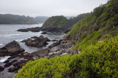 Dalgaların çarptığı kıyı manzarası yeşil yapraklı burundan kayalara çarpıyor. Sisli bulutlu gökyüzü ile yağmurlu bir gün. Pasifik Sahili, Bahia Mansa, Osorno, Şili.