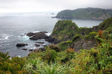 Dalgaların çarptığı kıyı manzarası yeşil yapraklı burundan kayalara çarpıyor. Sisli bulutlu gökyüzü ile yağmurlu bir gün. Pasifik Sahili, Bahia Mansa, Osorno, Şili.
