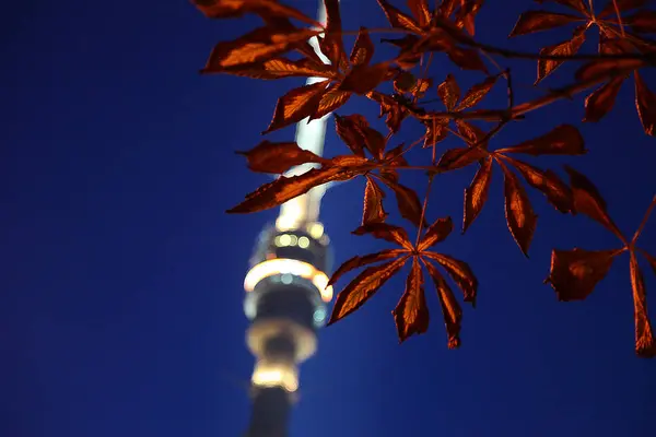 Folhas Amarelas Castanho Contra Uma Torre — Fotografia de Stock