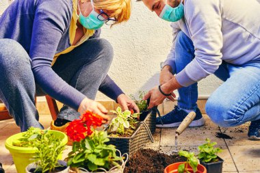 İki profesyonel bahçıvan fabrikayla maske takarak ilgileniyor. Bahçe konsepti.