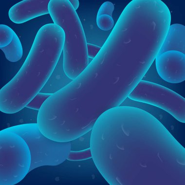 Lactobacillus bakteri koloni gerçekçi vektör