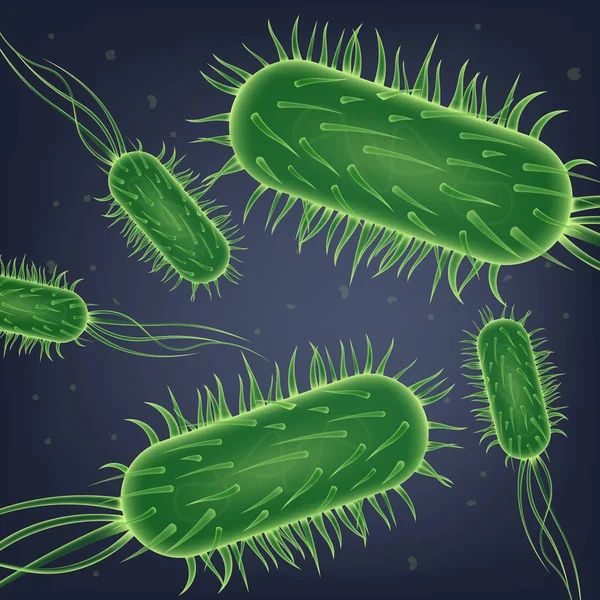 병원 성 대장균 박테리아 식민지 현실적인 벡터 — 스톡 벡터