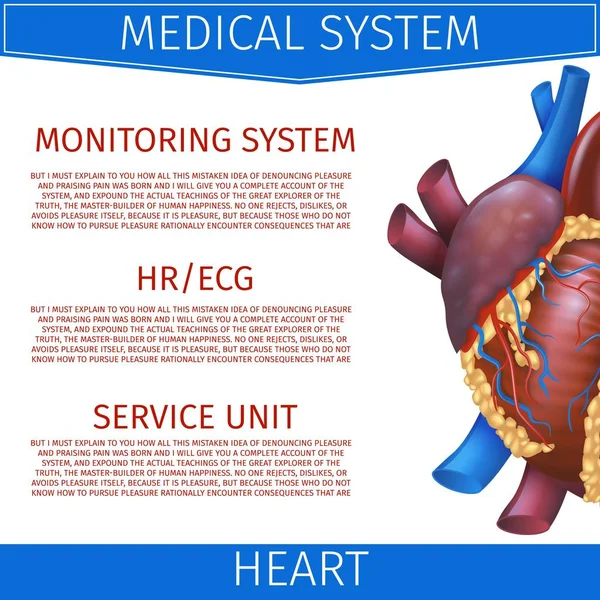 Realistische Vector Illustratie medische systeem hart — Stockvector