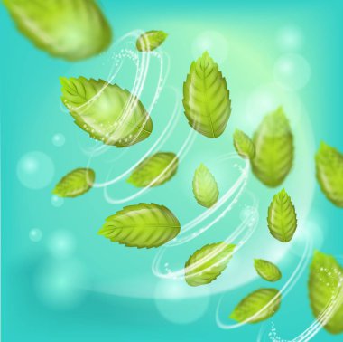 Gerçekçi illüstrasyon yeşil arka plan üzerinde taze nane yaprakları. 3D vektör görüntü sarmal girdap nane yaprakları ile. Nane çeşitli sanayi ve yönergeleri kullanarak. Reklam yer herhangi bir varyasyon