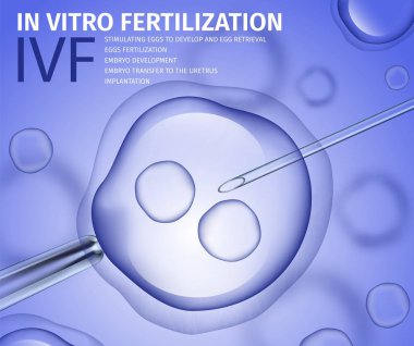 Vitro döllenme işlemi afiş profesyonel