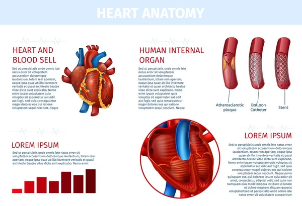 Terapia de células sanguíneas internas del corazón Banner realista — Vector de stock