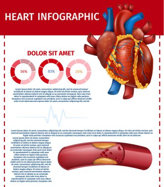 Infographic gerçekçi kalp ve engellenen yağ damarı