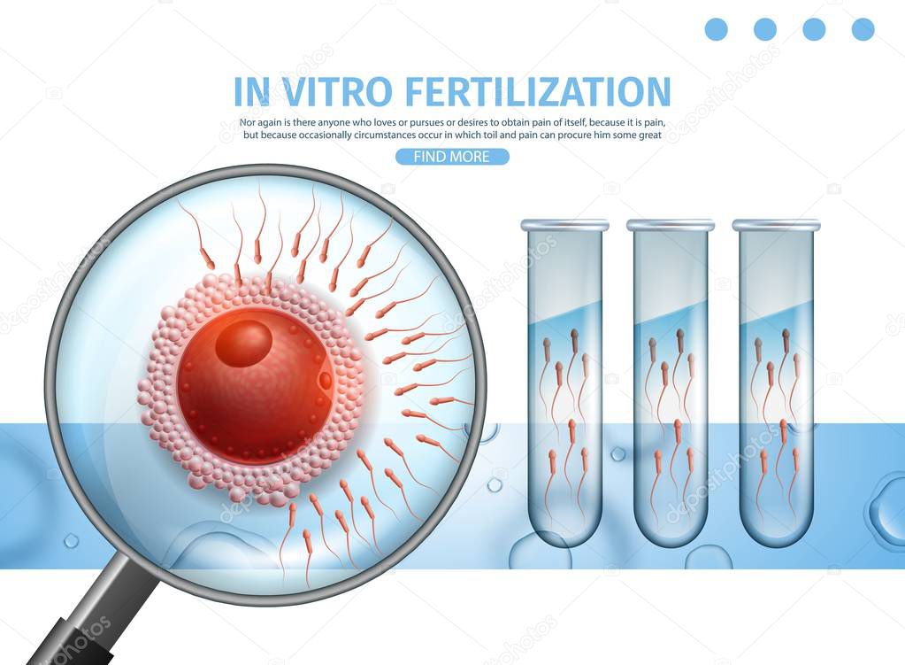 Sperm Cells Flowing to Egg Trough Magnifier View