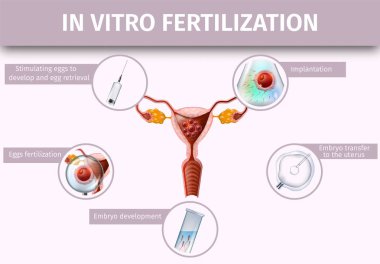 In Vitro Fertilization and Ovulation Background, clipart