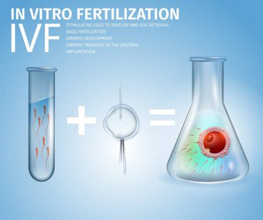 In Vitro Fertilization Formula and Stages Banner clipart