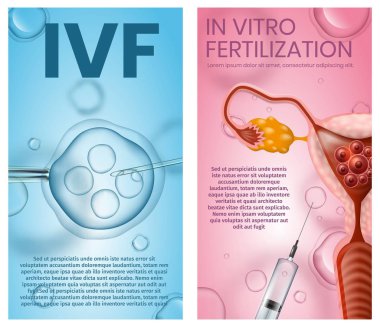 Eggs Fertilised in Lab and Implanted Into Uterus clipart