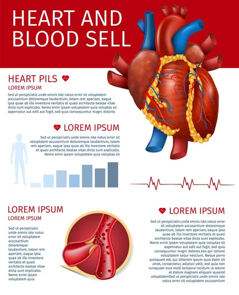 Ρεαλιστική καρδιά και αίμα πωλούν πανό με διάγραμμα — Διανυσματικό Αρχείο