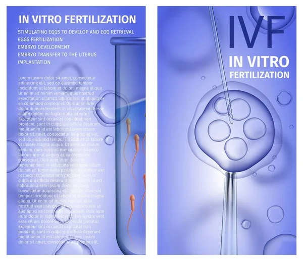 In Vitro Fertilization Vertical Banners Copy Space — Stock Vector