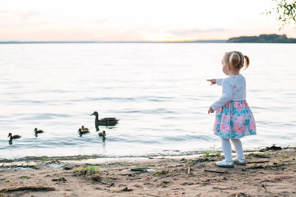 Menina Vestido Olhando Para Pato Com Patinhos Lago Pôr Sol — Fotografia de Stock