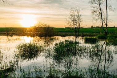 Güzel gün batımı göl bataklıkta yansıyan