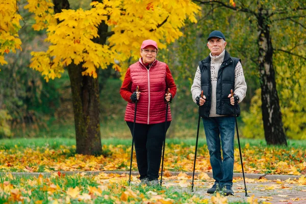 Pretty Senior Couple Standing Nordic Walking Poles Colorful Autumn Park — Stock Photo, Image