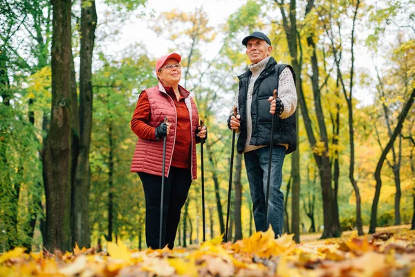 Pretty Senior Couple Standing Nordic Walking Poles Colorful Autumn Park — Stock Photo, Image