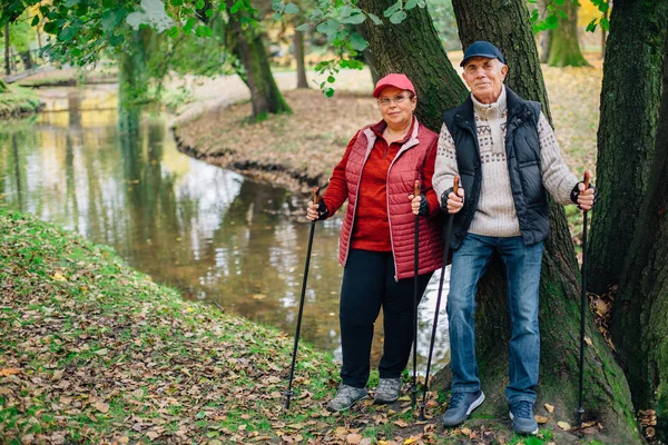 Muito Casal Sênior Com Pólos Caminhada Nórdicos Colorido Parque Outono — Fotografia de Stock