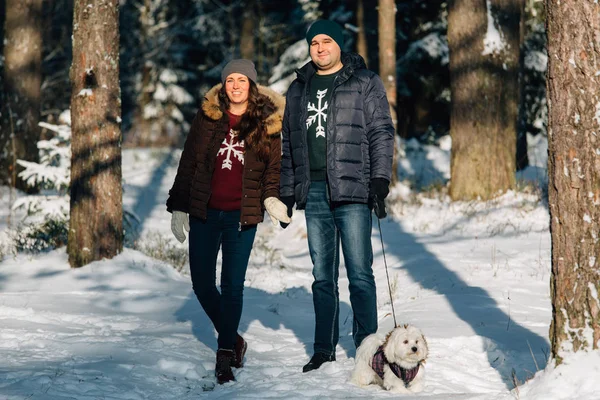 Sevimli Genç çift ile onların küçük beyaz köpek kış ormandaki eğleniyor. Erkek ve kadın kazaklı bir kar tanesi ile
