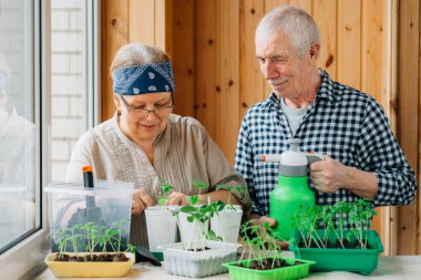 Üst düzey çift bakım fidan. Fidan Dikim gülümseyen kadın bahçıvan görünen mutlu olgun adam.