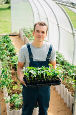 Yakışıklı neşeli genç bahçıvanla genel ayakta fideleri sera içinde. Neşeli çiftçi portresi.