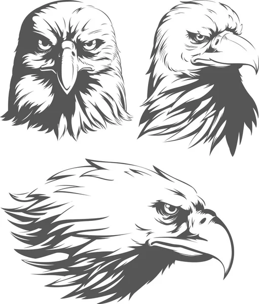 Silhouette Eagle Head Falcon Front Sideview Set Isolated Vector Logo — Stock Vector