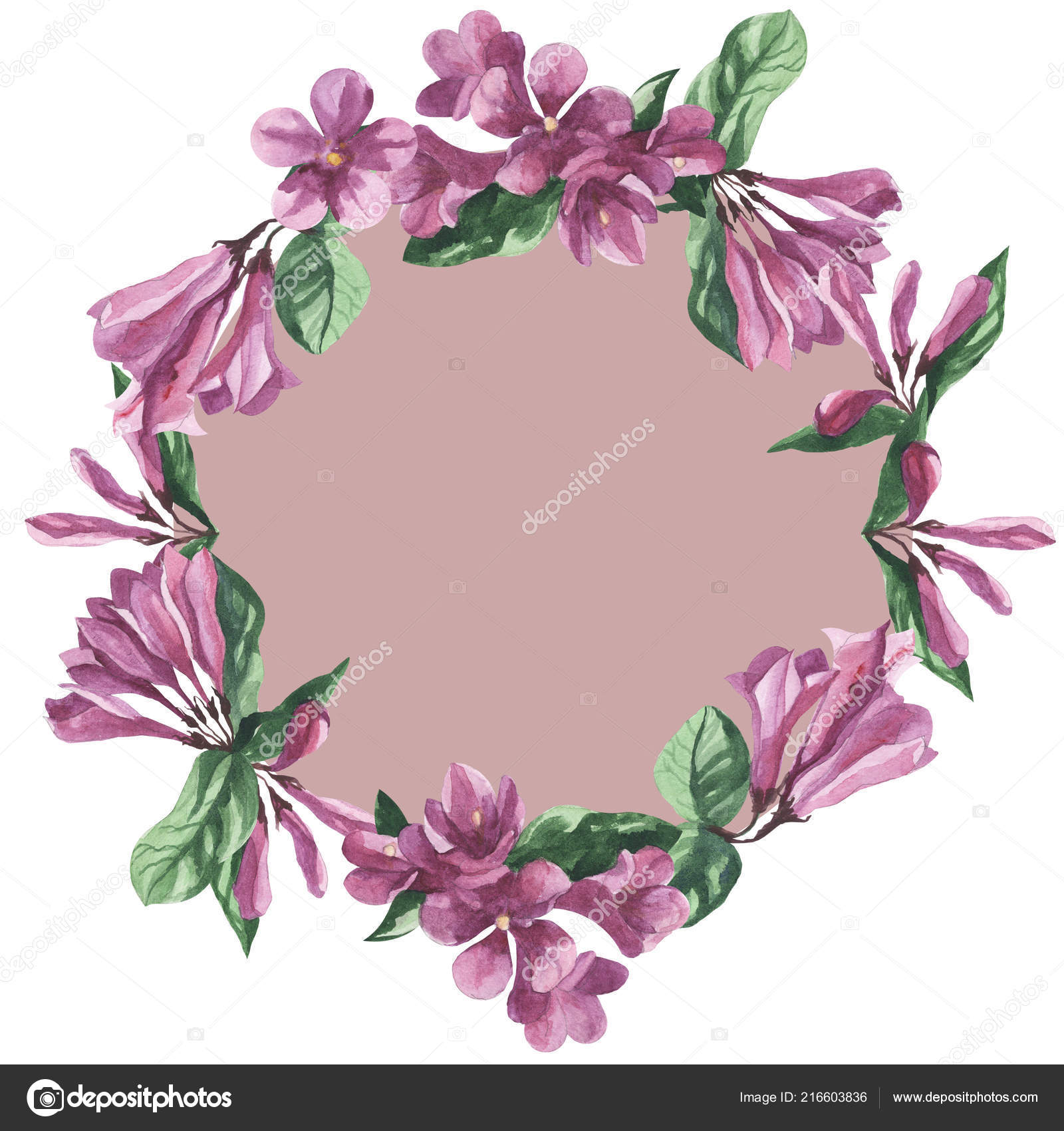 Cadre Floral Fleur Weigela Aquarelle Photographie Artmirei