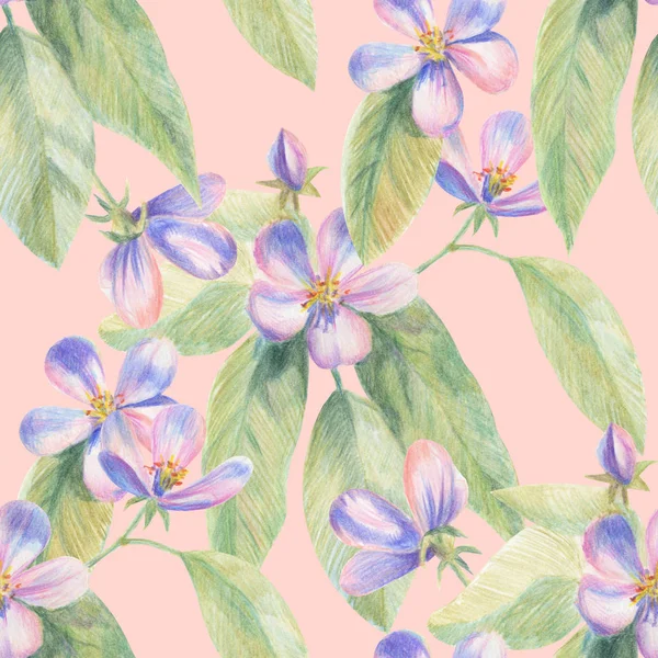 Flowers of apple Sakura drawing with colored pencils. Template for greeting card. Artist creative background. pink, lilac, purple, blue artwork. Wedding card