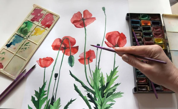 Red poppies. Watercolor drawing with paints, palette and brushes. Artist at work