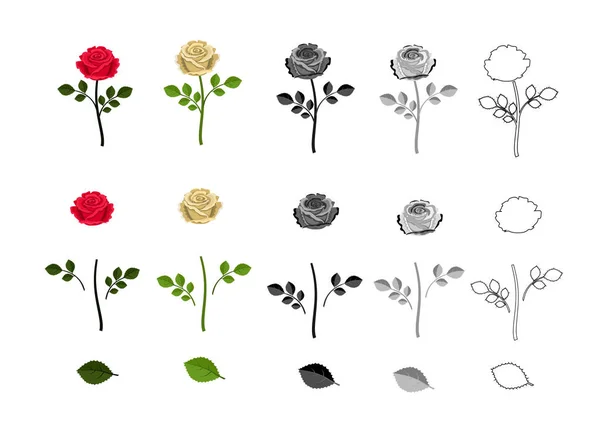 Rozen van verschillende kleuren met elementen van bloem. Geïsoleerd op witte achtergrond. — Stockvector