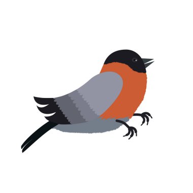 Beyaz arka plan üzerinde izole şakrak kuşu