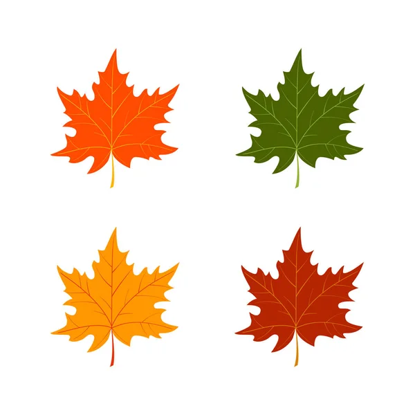 Set of autumn leaves on white background — Stock Vector