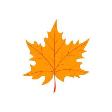 Sonbahar karikatür yaprak beyaz arka plan izole