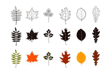 Renk, siluetler ve çizgi sanat tasarımı sonbahar yaprakları seti