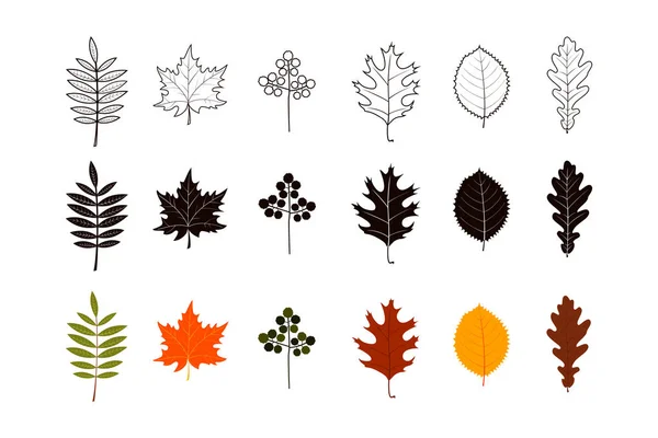 Nastavení podzimních listů v barvě, siluety a umělecké konstrukci — Stockový vektor