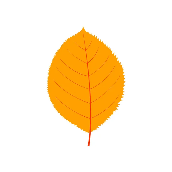 Jesienny liść na białym tle — Wektor stockowy